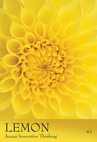 43 Lemon - The Secret Language of Color Cards