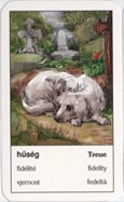 Fidelity - Gipsy Cards
