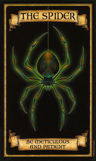 The Spider - Madame Endora's Fortune Cards