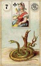 7 Snake - Dondorf Lenormand