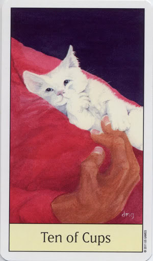 Ten of Cups - Cat's Eye tarot