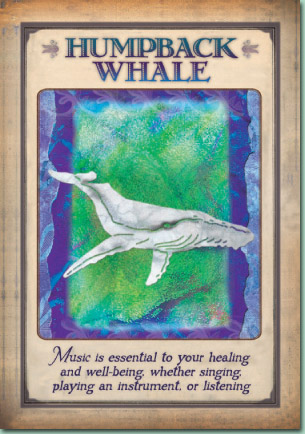 Humpback Whale - Messages From Your Animal Spirit Guides Oracle Cards